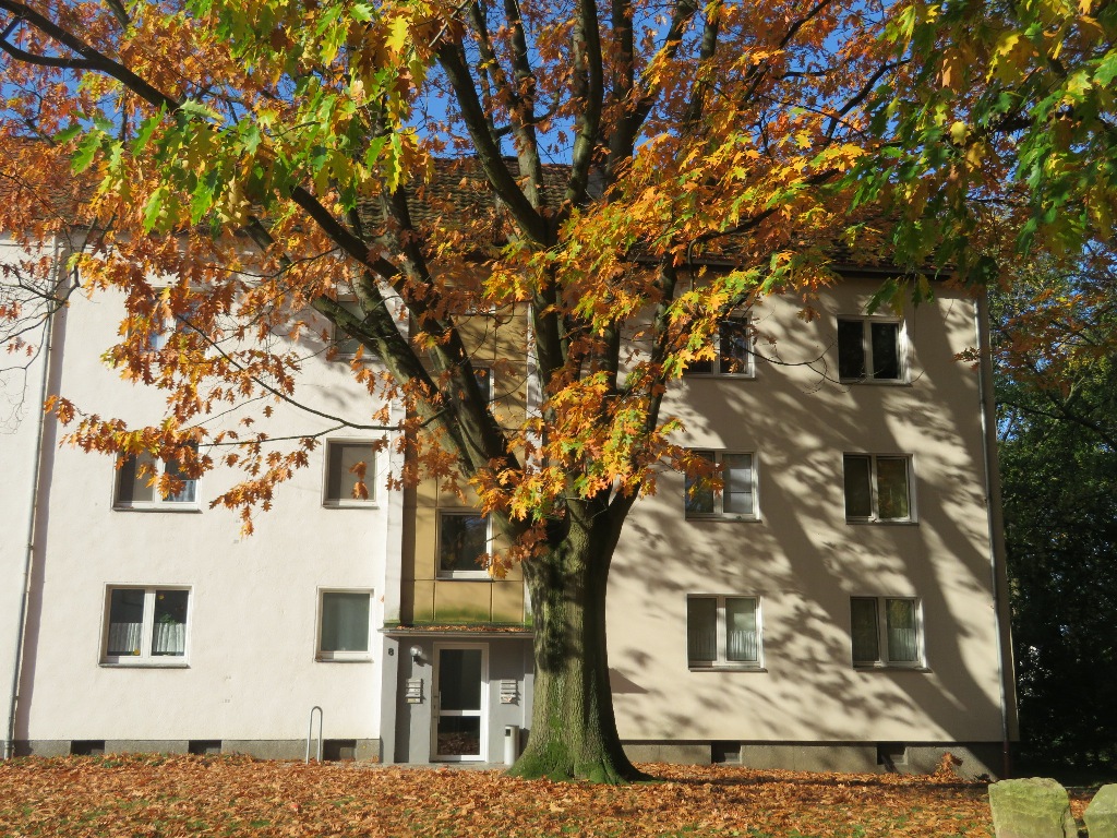 Wurmker Weg 8, - Photo 1